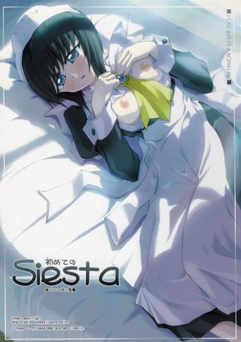 Full Color Hajimete no Siesta- Zero no tsukaima hentai Mature Woman 18