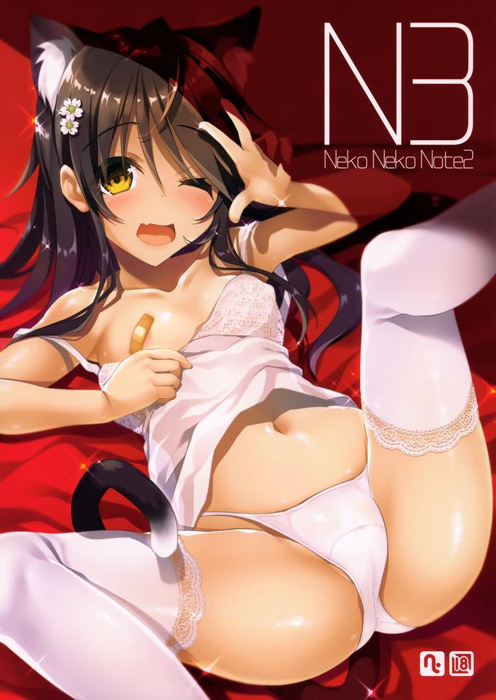 Neko Neko Note 2 - Original hentai 7