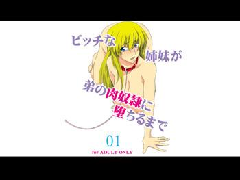 Teen Hardcore Bitch na Shimai ga Otouto no Niku Dorei ni Ochiru Made 01 Mojada 1