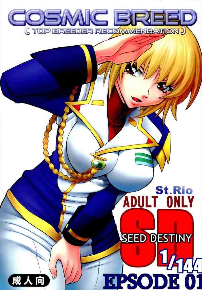 Ladyboy Cosmic Breed Epsode 01- Gundam seed destiny hentai Ejaculation 24