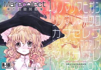 Fetiche Marecollect- Touhou project hentai Amateur Sex Tapes 13