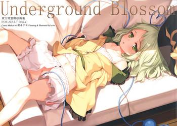 With Underground Blossom- Touhou project hentai Flaca 8