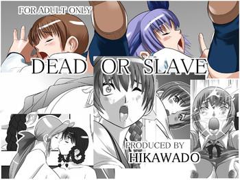 Mofos Dead or Slave- Dead or alive hentai Hardcore Porno 6