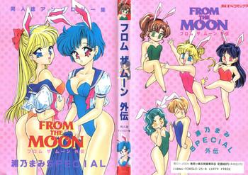 Huge From the Moon Gaiden- Sailor moon hentai Gay Averagedick 18