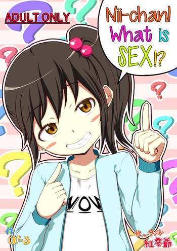 Babysitter [Kureiji (Pooru)] Nii-chan SEX tte Nani!? | Nii-chan! What is SEX!? [English] [sneikkimies] Girl Girl 1