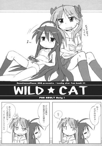 Wet Cunts WILD CAT- Lucky star hentai Sex Massage 1