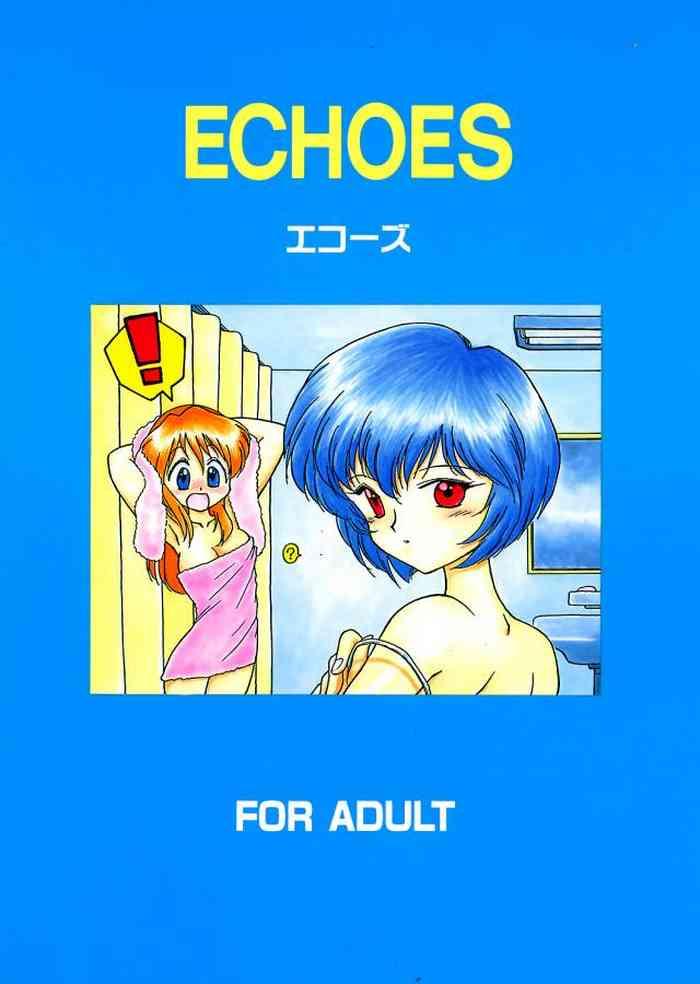 Pornstar ECHOES- Victory gundam hentai Neon genesis evangelion | shin seiki evangelion hentai Sailor moon | bishoujo senshi sailor moon hentai Hardcore Porn 13