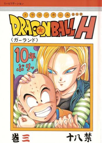 Gay Hairy DragonBall H Maki San- Dragon ball z hentai Brasil 16