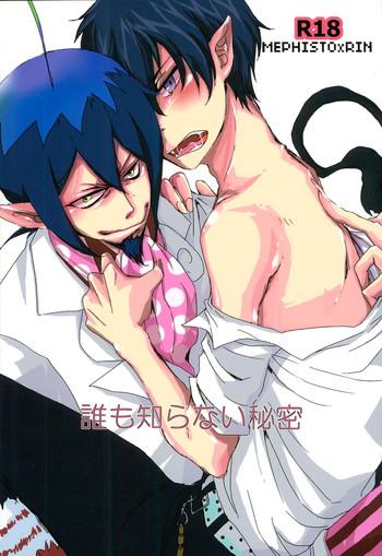 Amateur Dare mo Shiranai Himitsu- Ao no exorcist hentai Pink 5